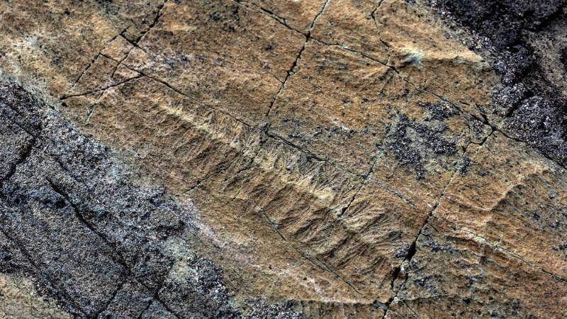 Titik yang Keliru - Mistaken Point | Secret World Trip Planner