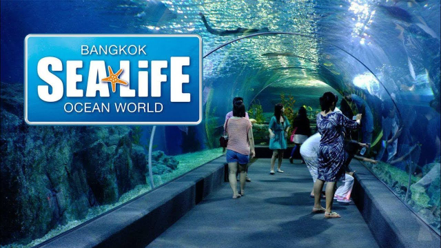 Morsko življenje Bangkok Ocean World - Khet Pathum Wan | Secret World Trip Planner