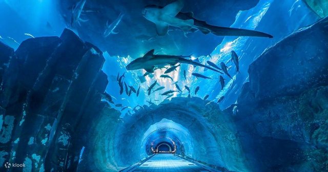 Morsko življenje Bangkok Ocean World - Khet Pathum Wan | Secret World Trip Planner