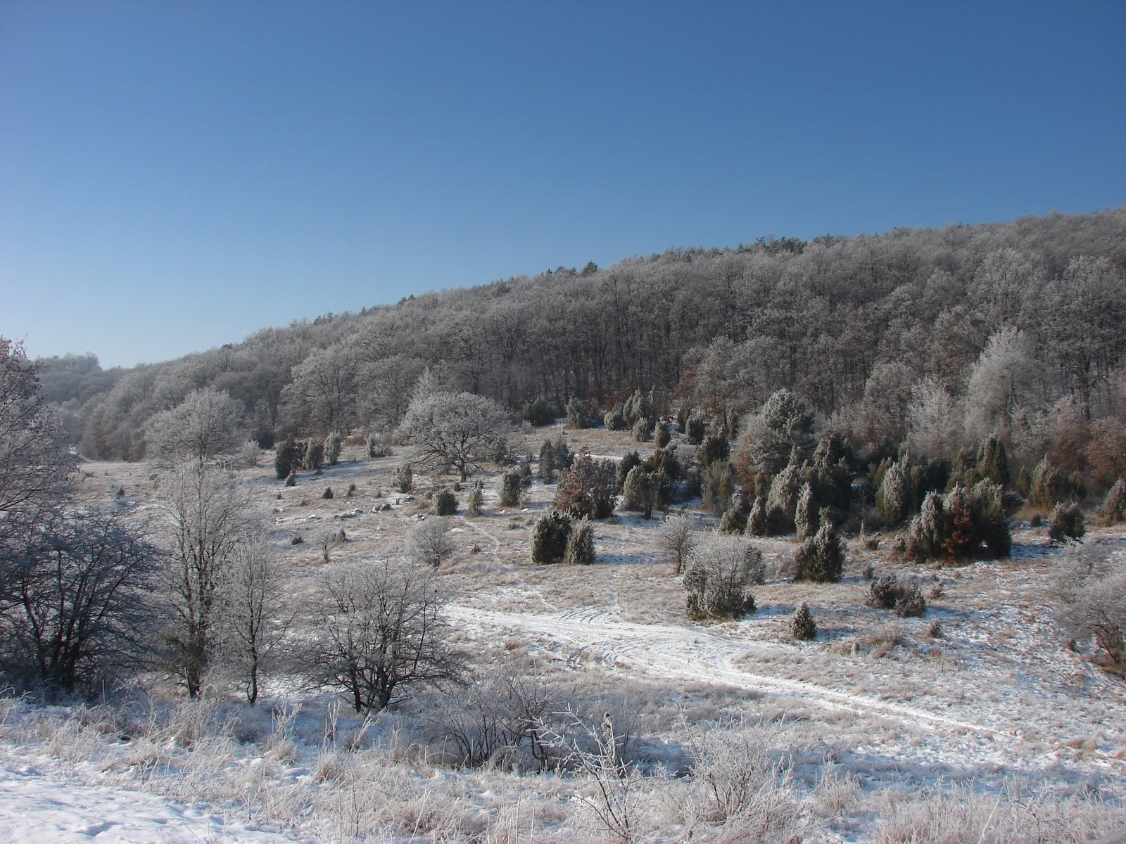 Aggtelek National Park | Secret World Trip Planner