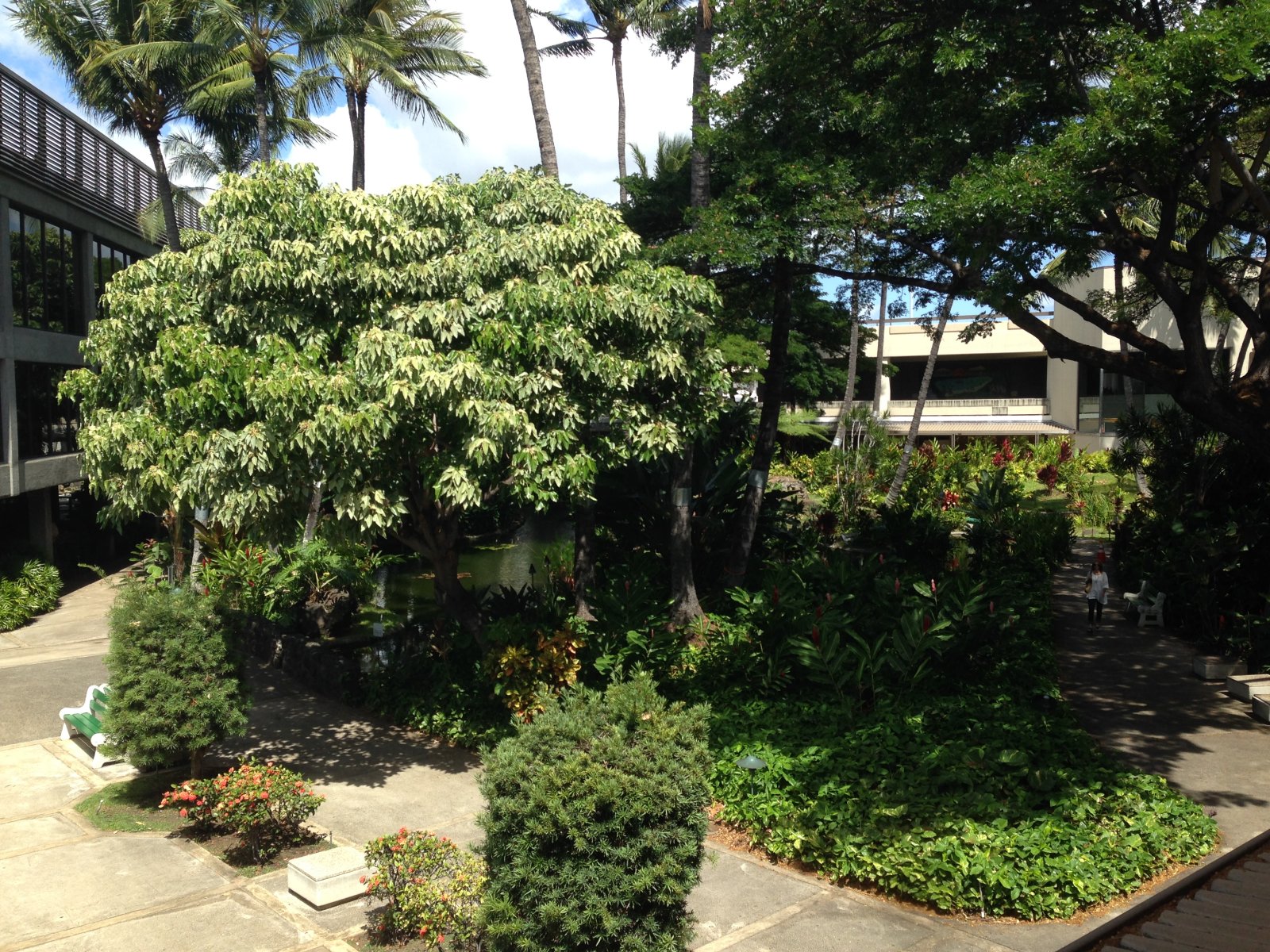 檀香山：世界上最平静的机场贵宾室之一 - Honolulu | Secret World Trip Planner