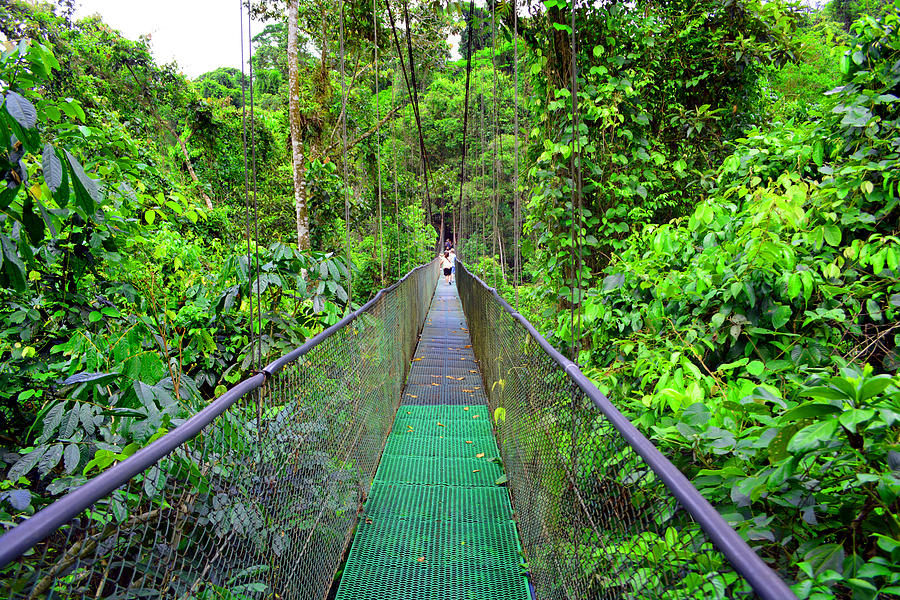 Tirimbina Rainforest Center Secret World