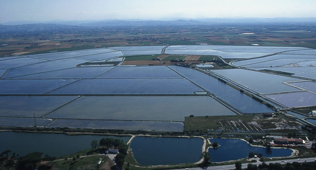 Prírodná rezervácia Salina di Cervia - 61 | Secret World Trip Planner