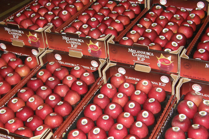 Mela Annurca, la reina de las manzanas