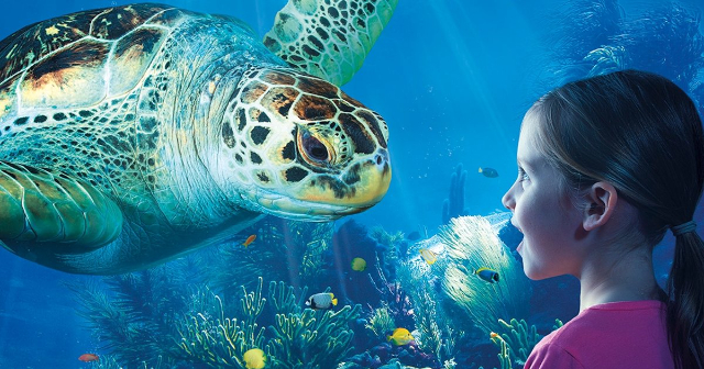 Espectador Sea Life - Speyer | Secret World Trip Planner