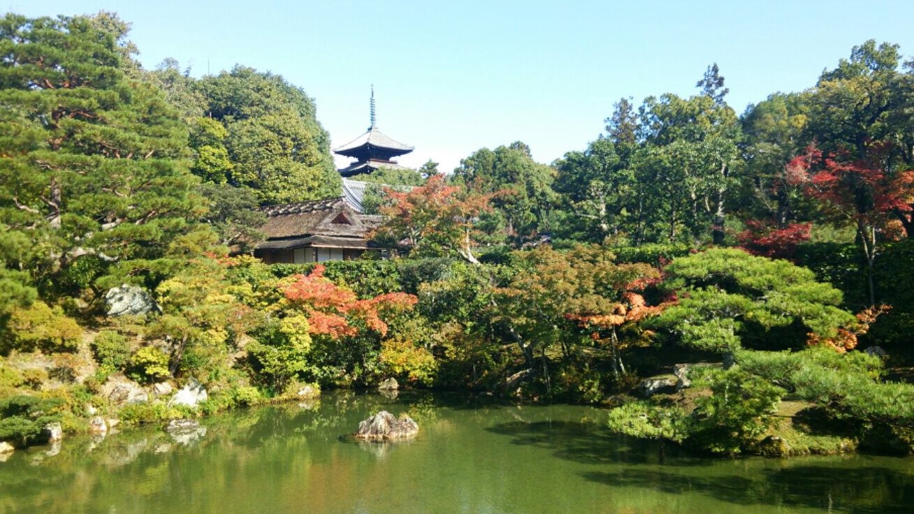 Ninnaji adalah salah satu Unesco besar kuil-kuil di Kyoto - Ky?to-shi | Secret World Trip Planner