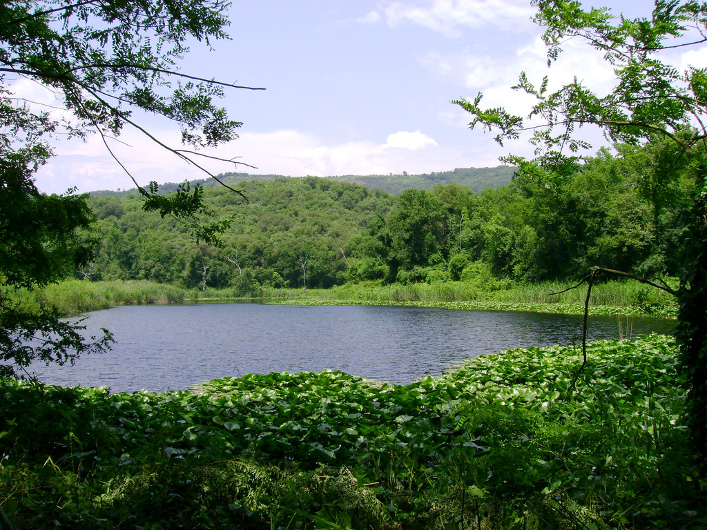 Crater ya Astroni - Napoli | Secret World Trip Planner