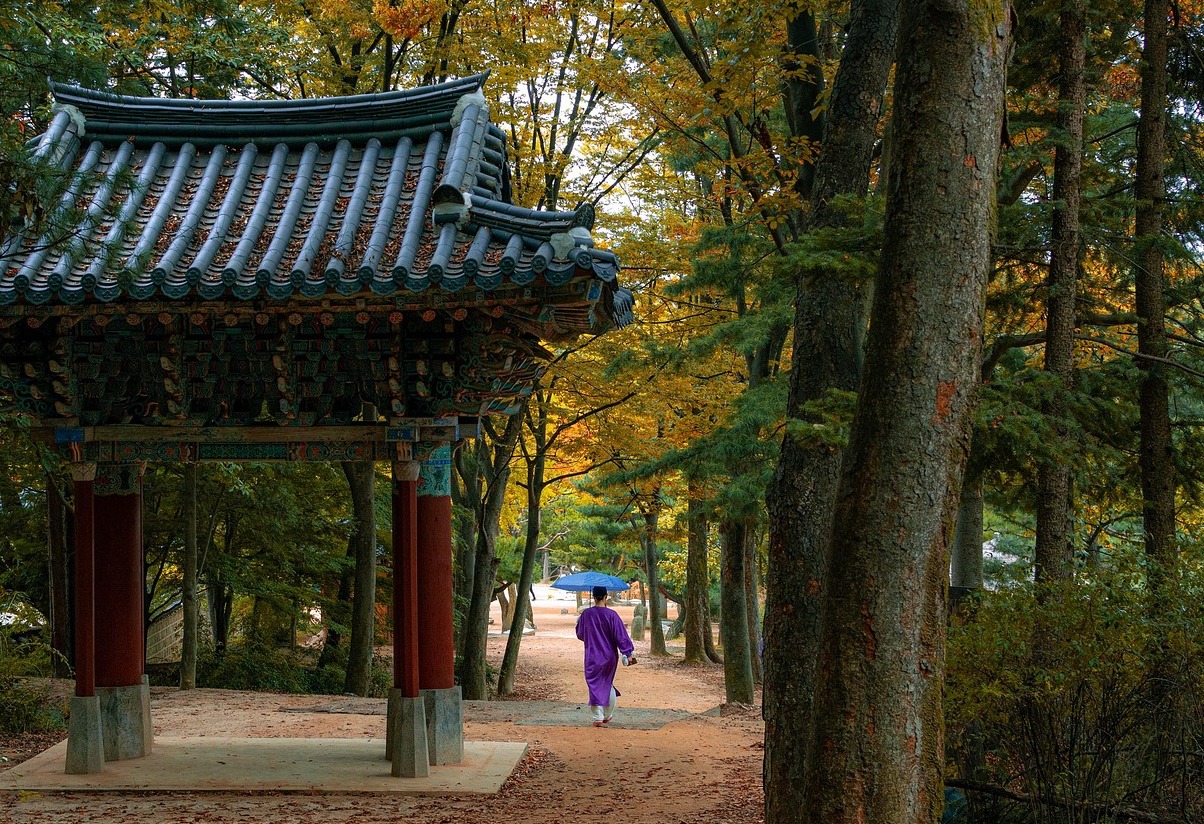 Tripitaka Koreana, Haeinsa Temple, Sydkorea - Hapcheon | Secret World Trip Planner