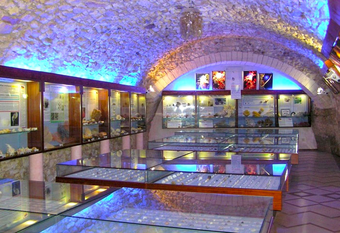 Malakologisches Museum