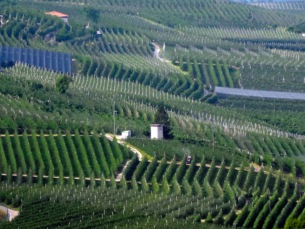 Úlloird úll an Val di Non