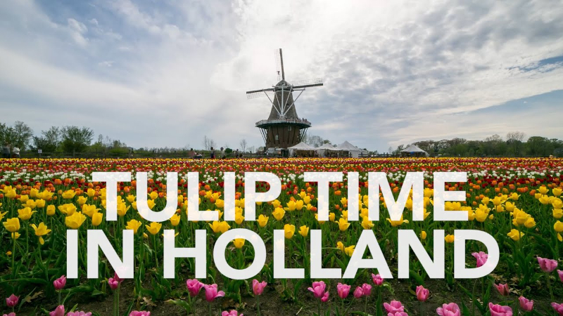 ಟುಲಿಪ್ ಹಬ್ಬ - Holland | Secret World Trip Planner