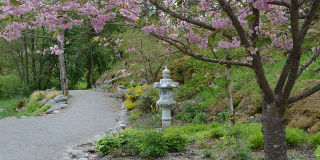 taman botani bergen - Skipanesvegen 45 | Secret World Trip Planner