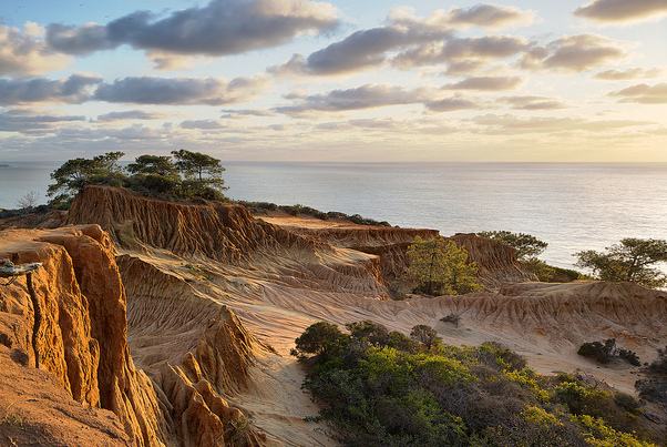 ಟೊರ್ರೆ ಪೈನ್ ರಾಜ್ಯ ನೈಸರ್ಗಿಕ ರಿಸರ್ವ್ - La Jolla | Secret World Trip Planner