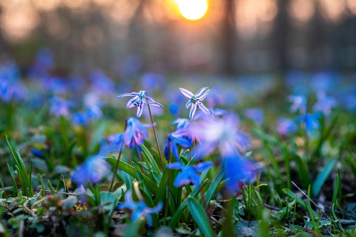 Scilla - Eine malerische Küstenstadt ( Kalabrien ) - Scilla | Secret World Trip Planner