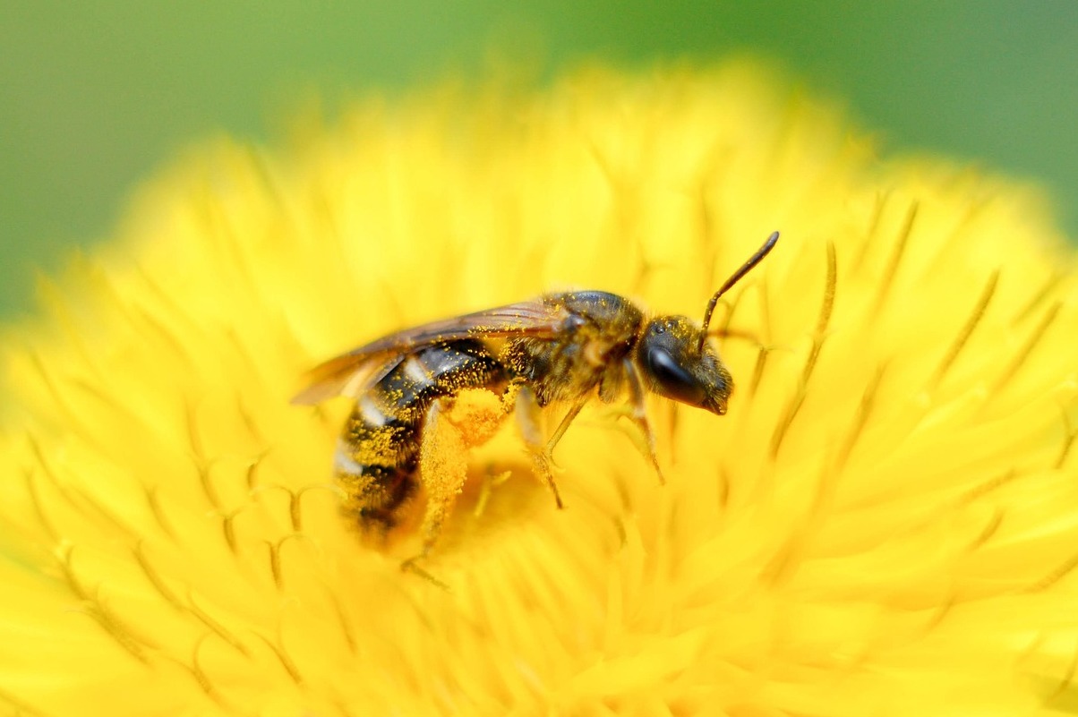 Pitigliano: Gutxi Jerusalem - Pitigliano | Secret World Trip Planner