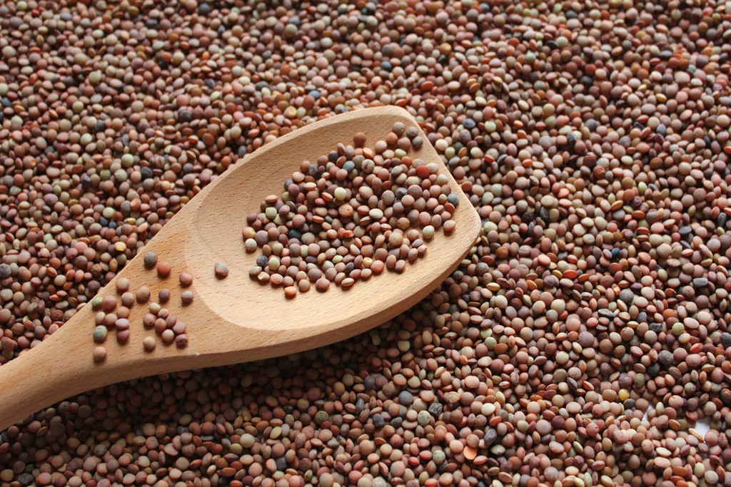 Castelluccio lentil PGI - Castelluccio | Secret World Trip Planner