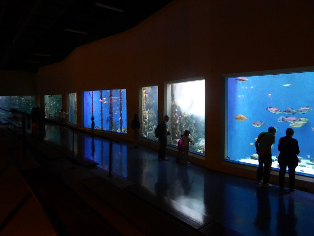 Acquario Finisteria - A Coruña | Secret World Trip Planner