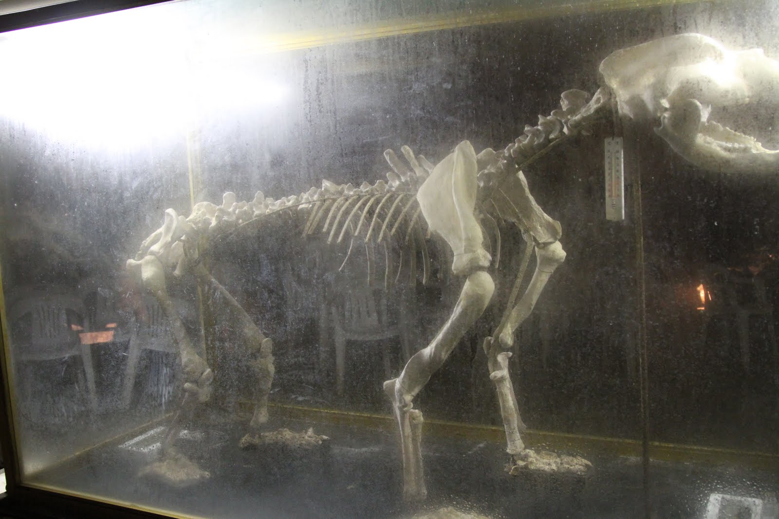 Cavernas de Bossea - Bossea | Secret World Trip Planner