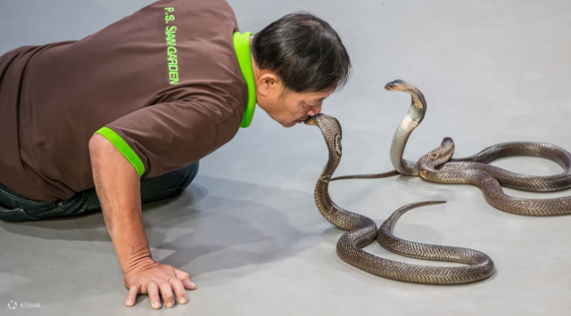 Siamski serpentarij - Khet Lat Krabang | Secret World Trip Planner