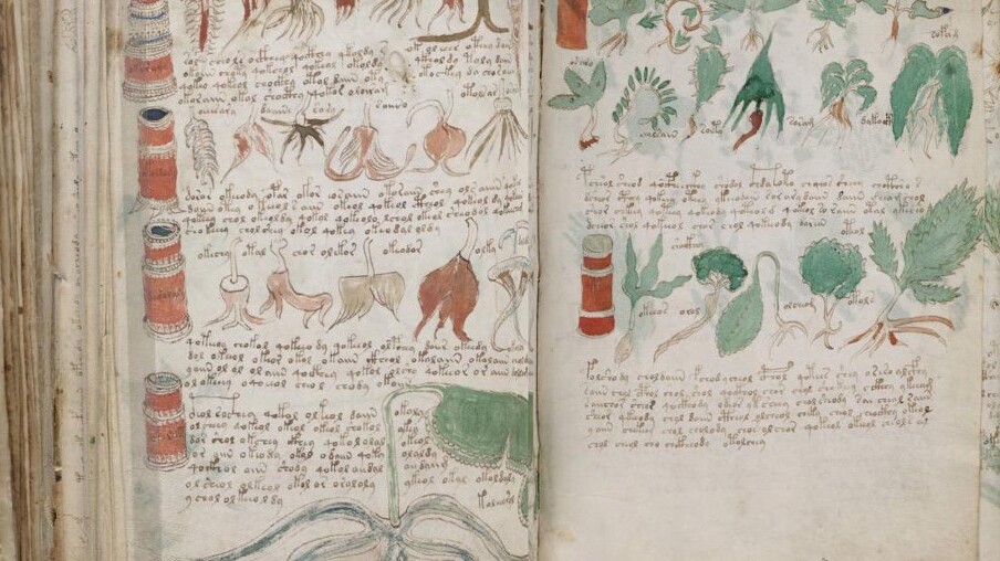 Voynich မူကမ္ဘာရဲ့အများဆုံးလျှို့ဝှက်ဆန်းကြယ်သည့်မူ - New Haven | Secret World Trip Planner