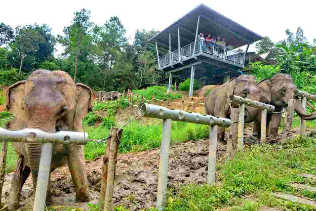 ChangChill Elefantreservat - Tambon Mae Win | Secret World Trip Planner