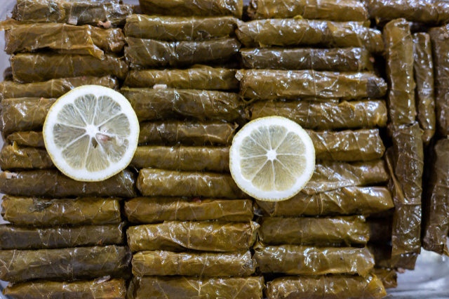 Dolma - Bodrum | Secret World Trip Planner