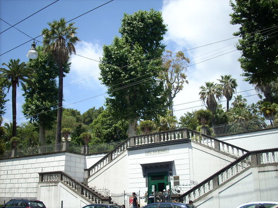 Kebun Raya Napoli