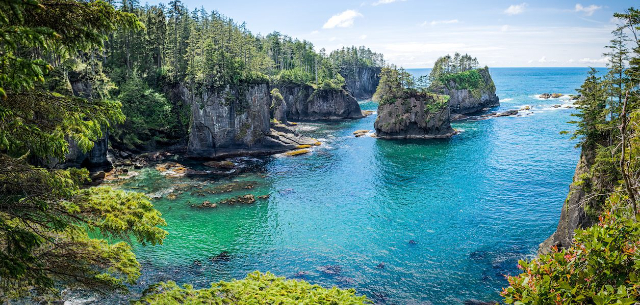 კეიპ მაამებელი - Cape Flattery Trail | Secret World Trip Planner