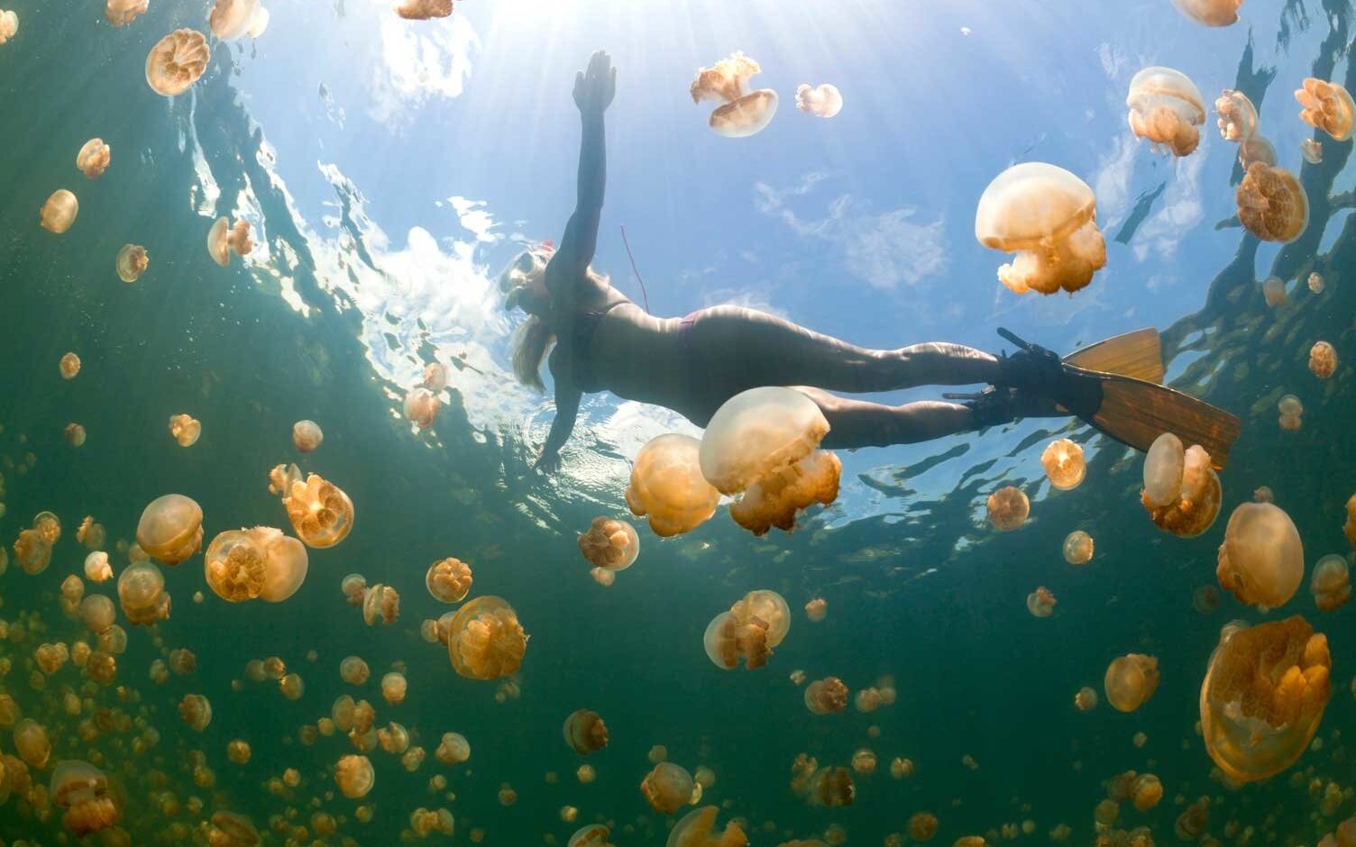 O incrível Lago das alforrecas de Palau-mundo secreto - Lago delle Meduse | Secret World Trip Planner