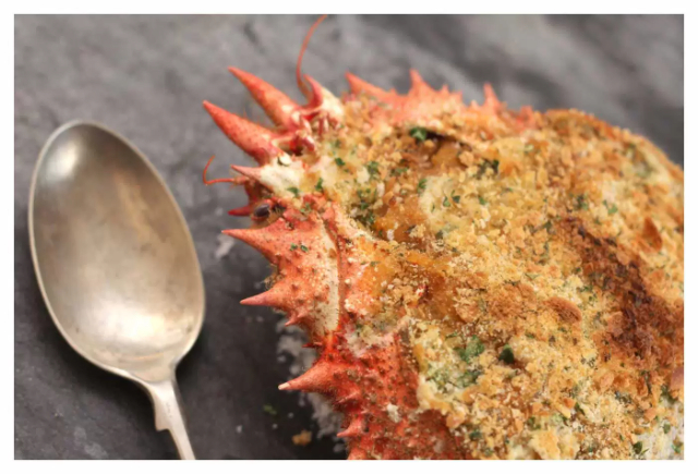 烘烤的特克斯古罗