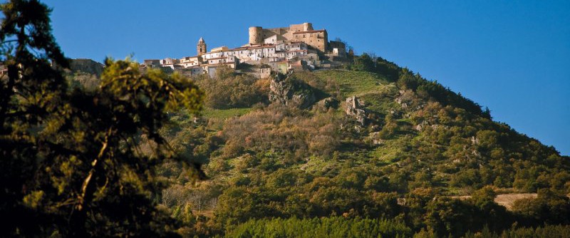 مونٹیورڈے - Monteverde | Secret World Trip Planner