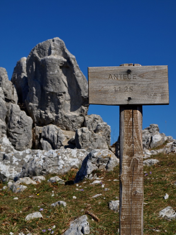 Antece, Un Guerrer De Pedra de 2.500 any ...