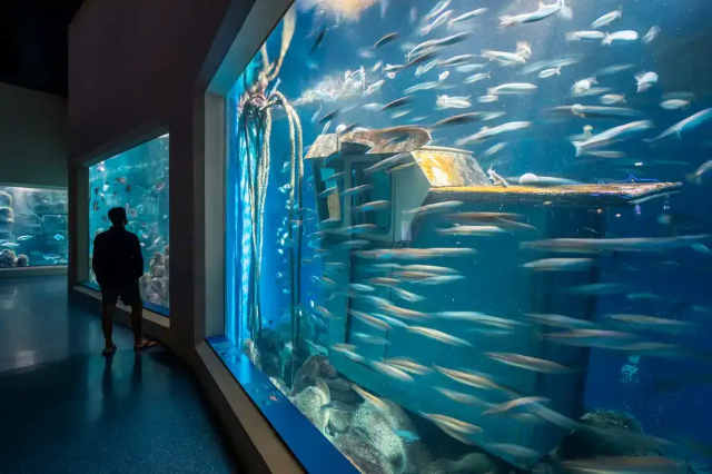 Aquarium ng Finisterre - A Coruña | Secret World Trip Planner