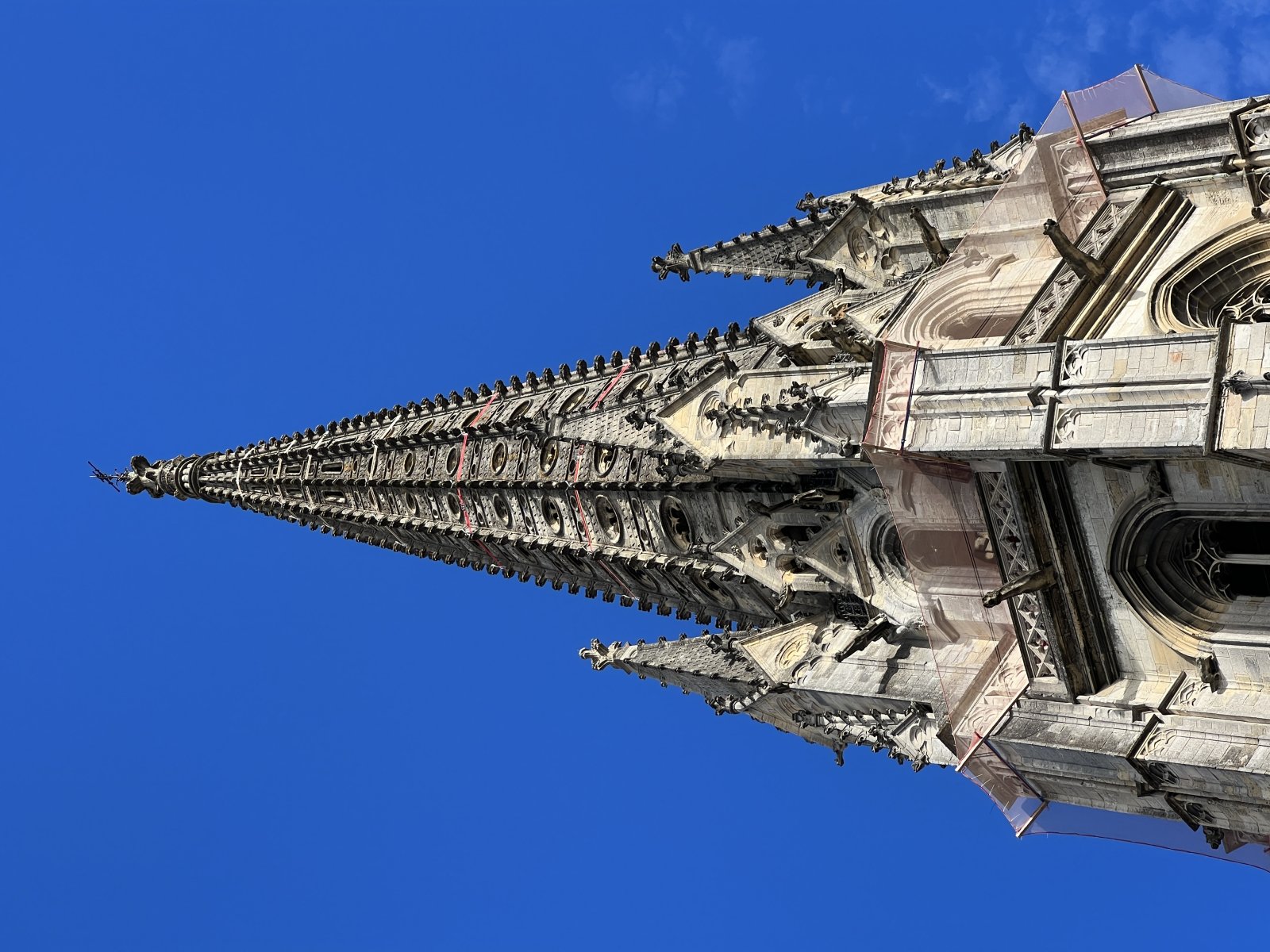 Lumikha ng isang aklat” - Bordeaux | Secret World Trip Planner