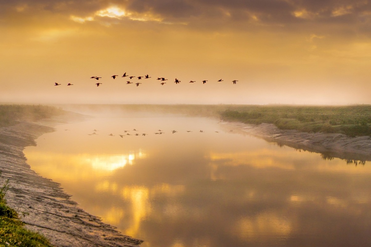 干邑和夏朗德河畔 - La Rochelle | Secret World Trip Planner