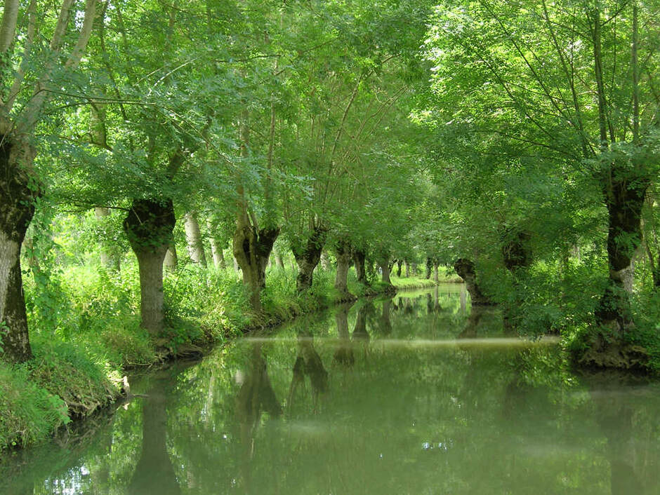 Das Marais Poitevin - Arçais | Secret World Trip Planner