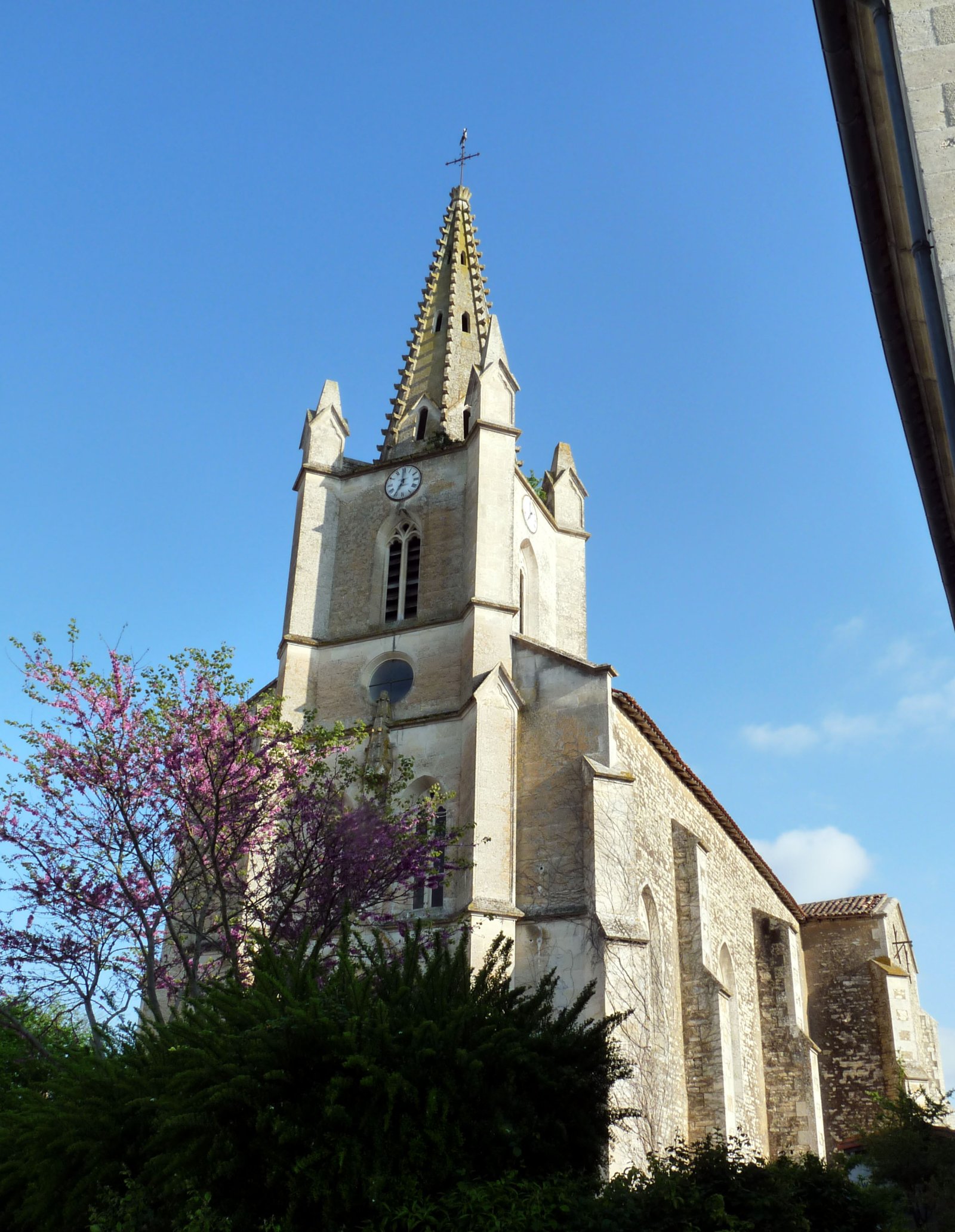 Das Marais Poitevin - Arçais | Secret World Trip Planner