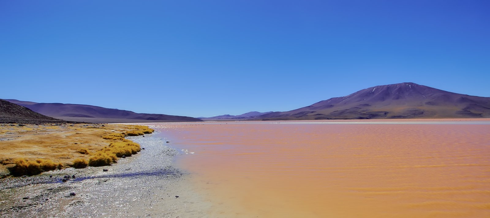 Laguna Colorada (Red Lagoon) - Laguna Colorada | Secret World Trip Planner
