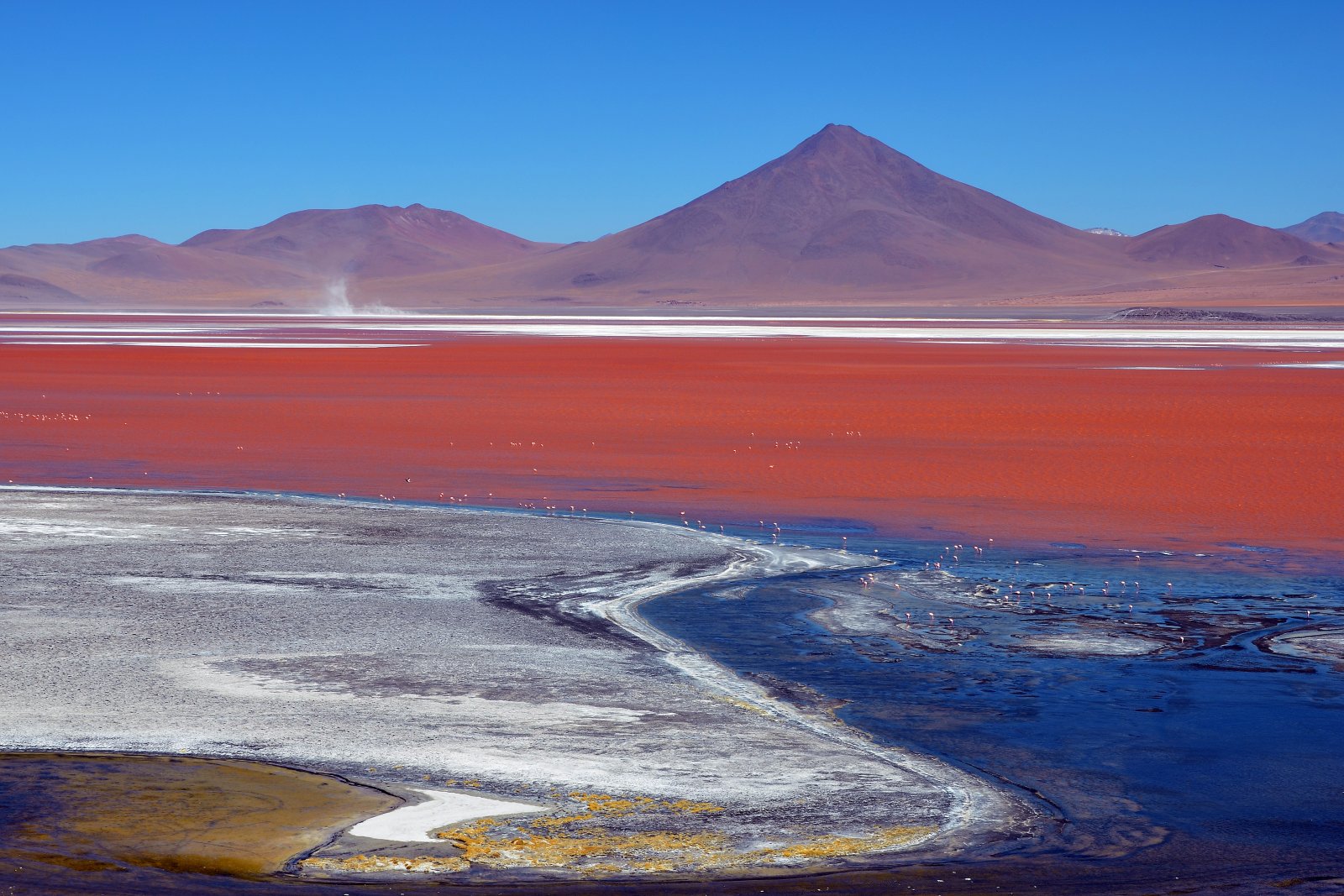 Laguna Colorada (Red Lagoon) - Laguna Colorada | Secret World Trip Planner