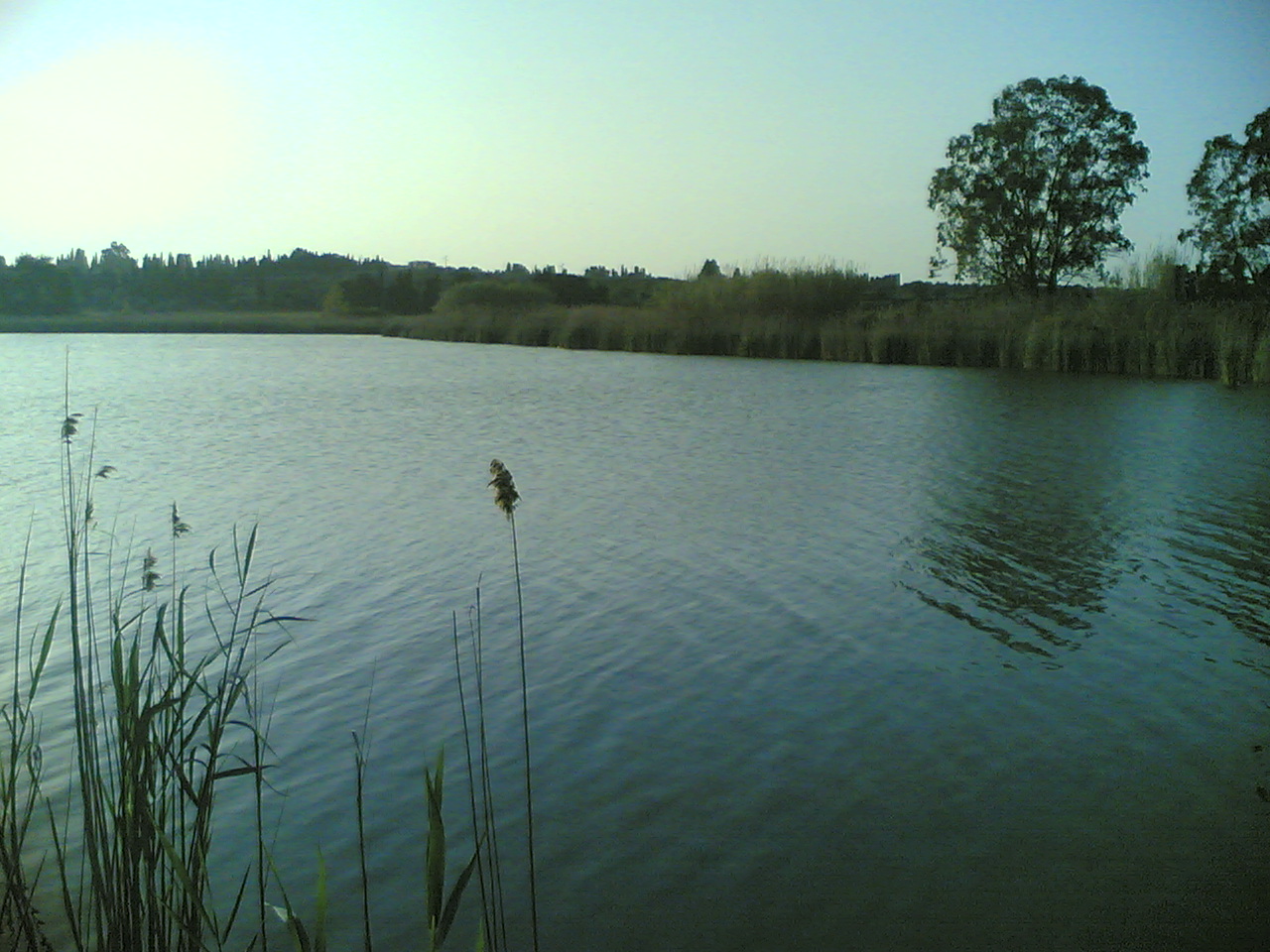 অ্যালিমিনি হ্রদ - Laghi Alimini | Secret World Trip Planner