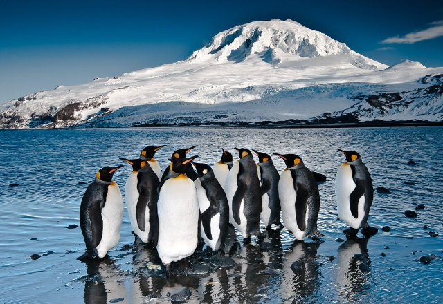 Îles Heard et McDonald | Secret World Trip Planner