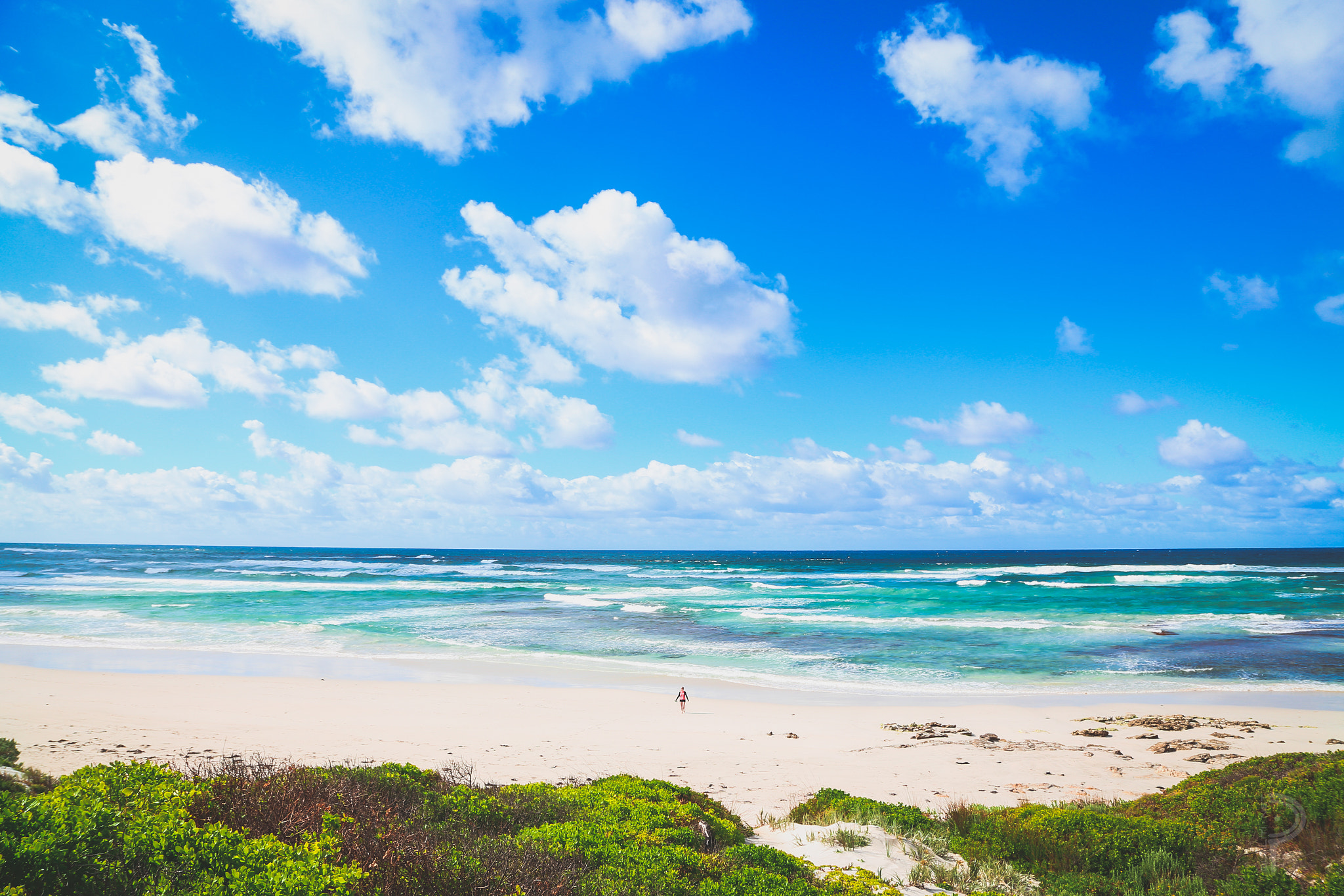 Australia | Isla Canguro - Isola dei Canguri | Secret World Trip Planner