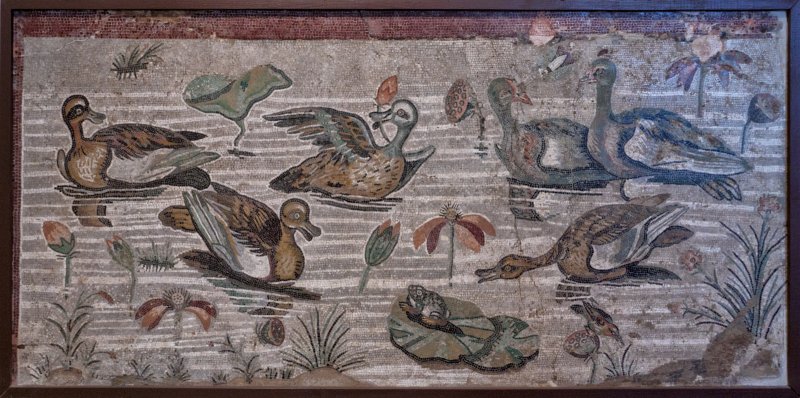 Kuća Fauna
