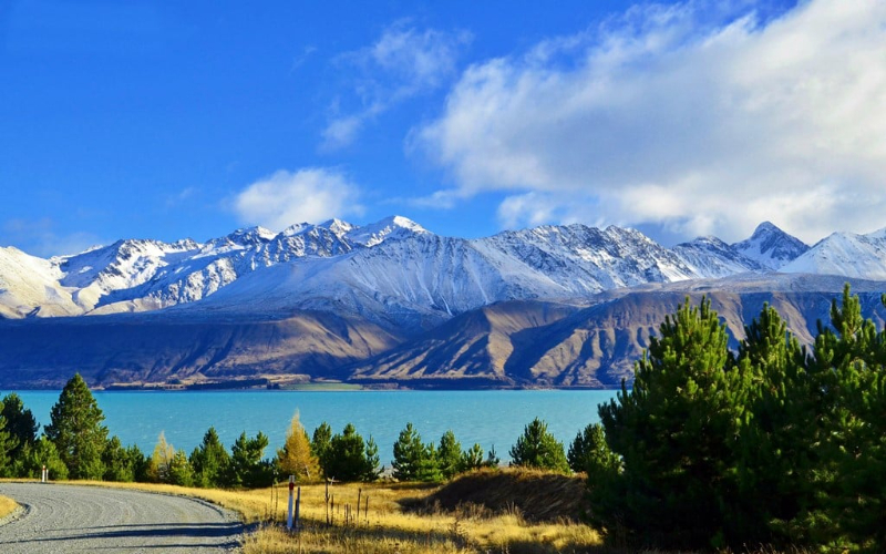 אגם פוקאקי - Lake Pukaki | Secret World Trip Planner