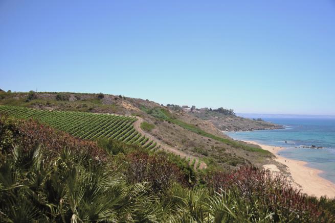 Menfi... sole, mare, storia ed enogastronomia