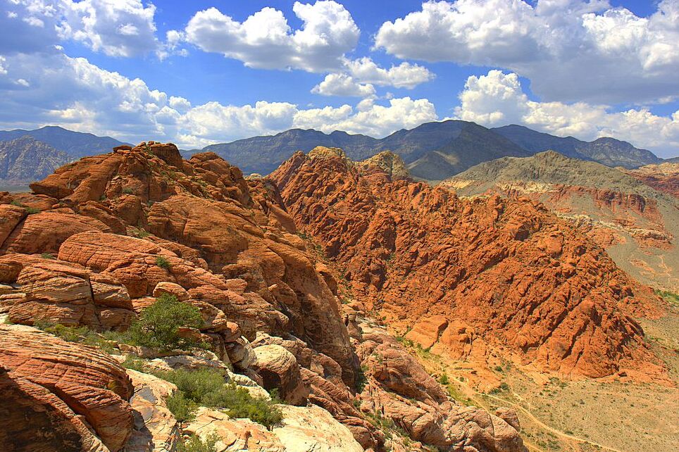Die Mojave-Wüste - Deserto del Mojave | Secret World Trip Planner