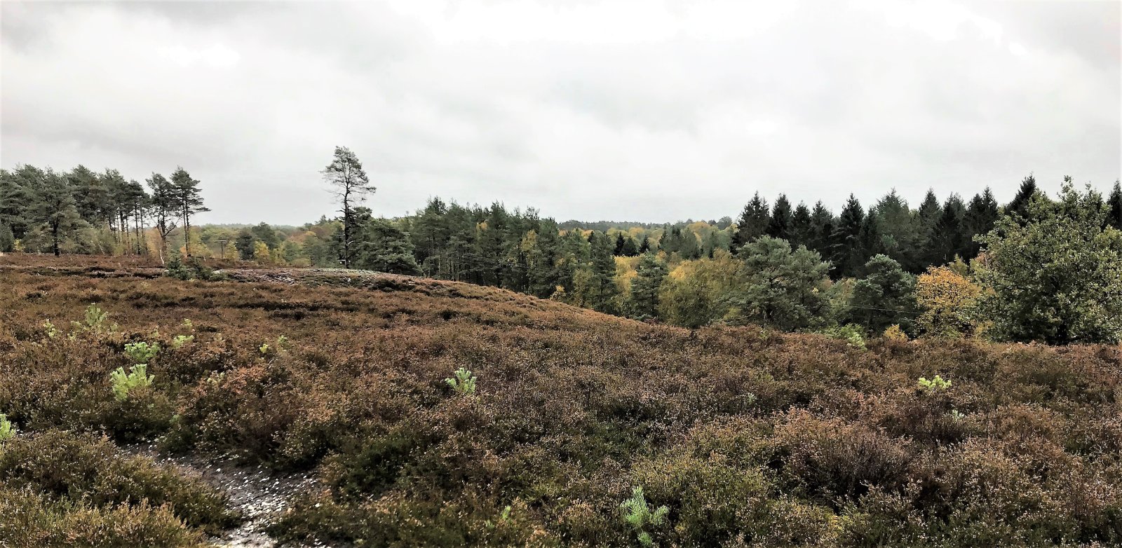 The South Downs National Park | Secret World Trip Planner