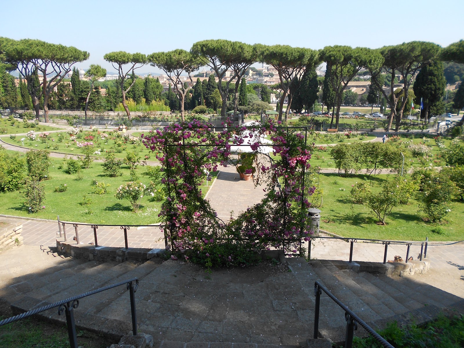 Roseto comunale all ' aventino