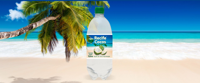 O Coco Verde - Recife | Secret World Trip Planner