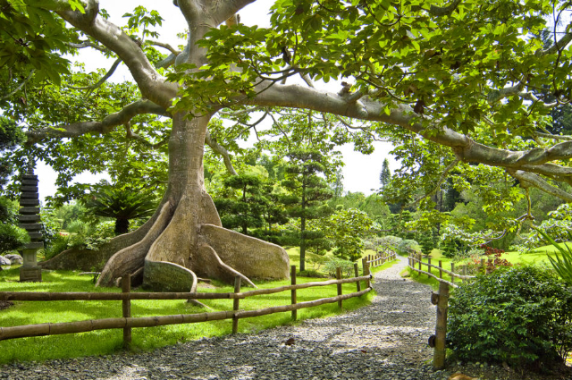 Grădina Botanică Națională - Santo Domingo | Secret World Trip Planner